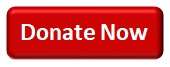 donate-now-button