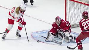 harvard-vs-cornell-hockey-goal