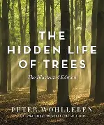 hidden-life-of-trees